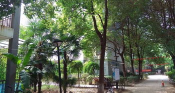 南湖佰港城,沃尔玛附近,出门就是公交站,可月付,直租