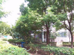 风华天城月亮湾图片相册,武汉风华天城月亮湾实景图 室外图 小区配套图