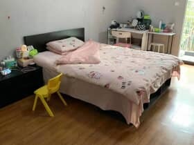 最新发布