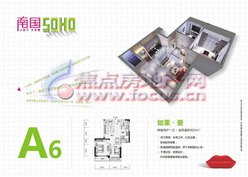 南国风华天城南国风华天成四期 南国soho 两房两厅一卫 56平方米a6 南国风华天城户型图