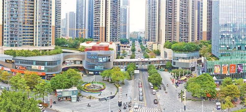 高质量发展赛龙夺锦 新征程奋斗风华正茂