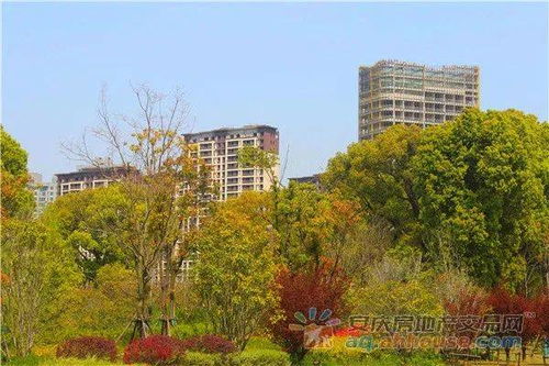 天盟 阅江山湖景美宅,以四季美好阅鉴时代风华