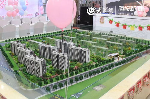 2020年第一天 莒县众多单身男女在这里寻觅良人 爱情与佳节初见就惊艳 了