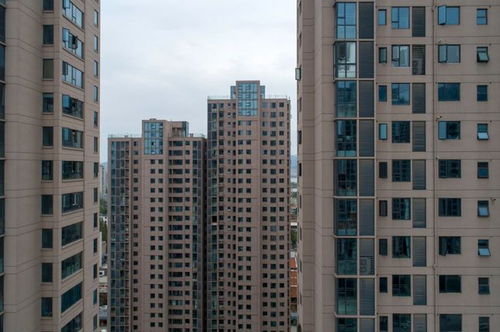 新手买房,一定要知道的 五不原则 房子居住更舒适